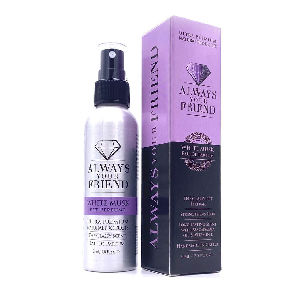 Always Your Friend Perfume White Musk image 0