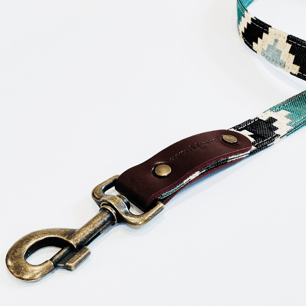 Correa Pluto image 3