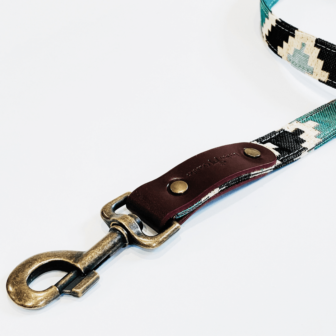 Correa Pluto image 3