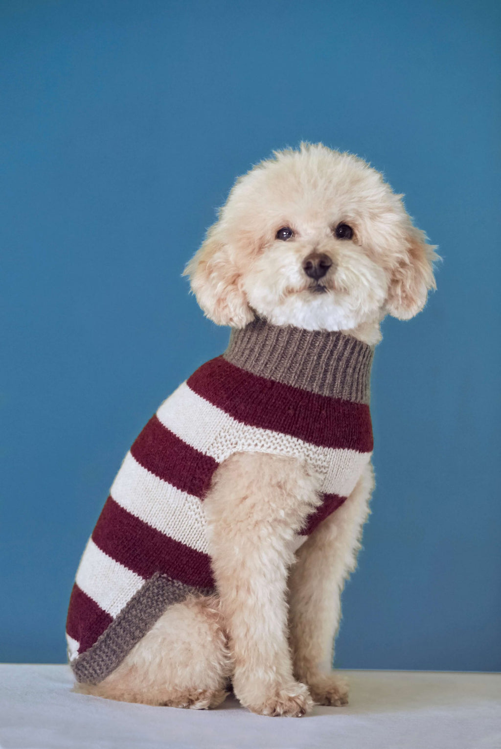 JERSEY ANNI RAYAS image 1