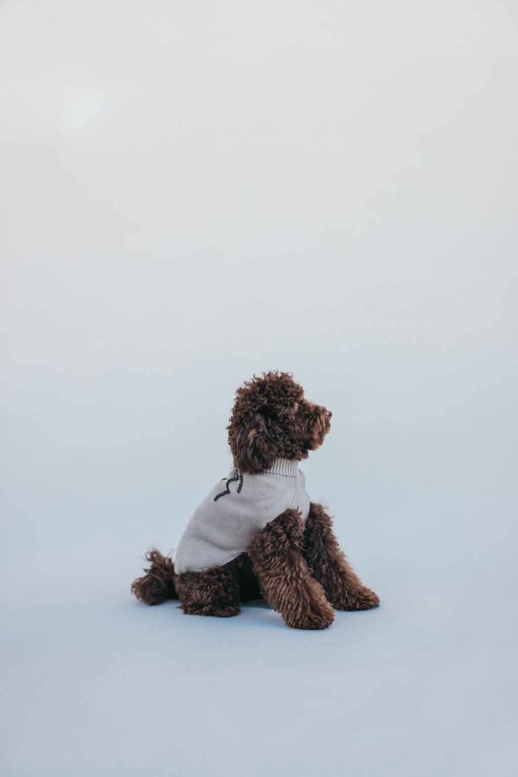 Jersey beige Le Dangerouge M image 2