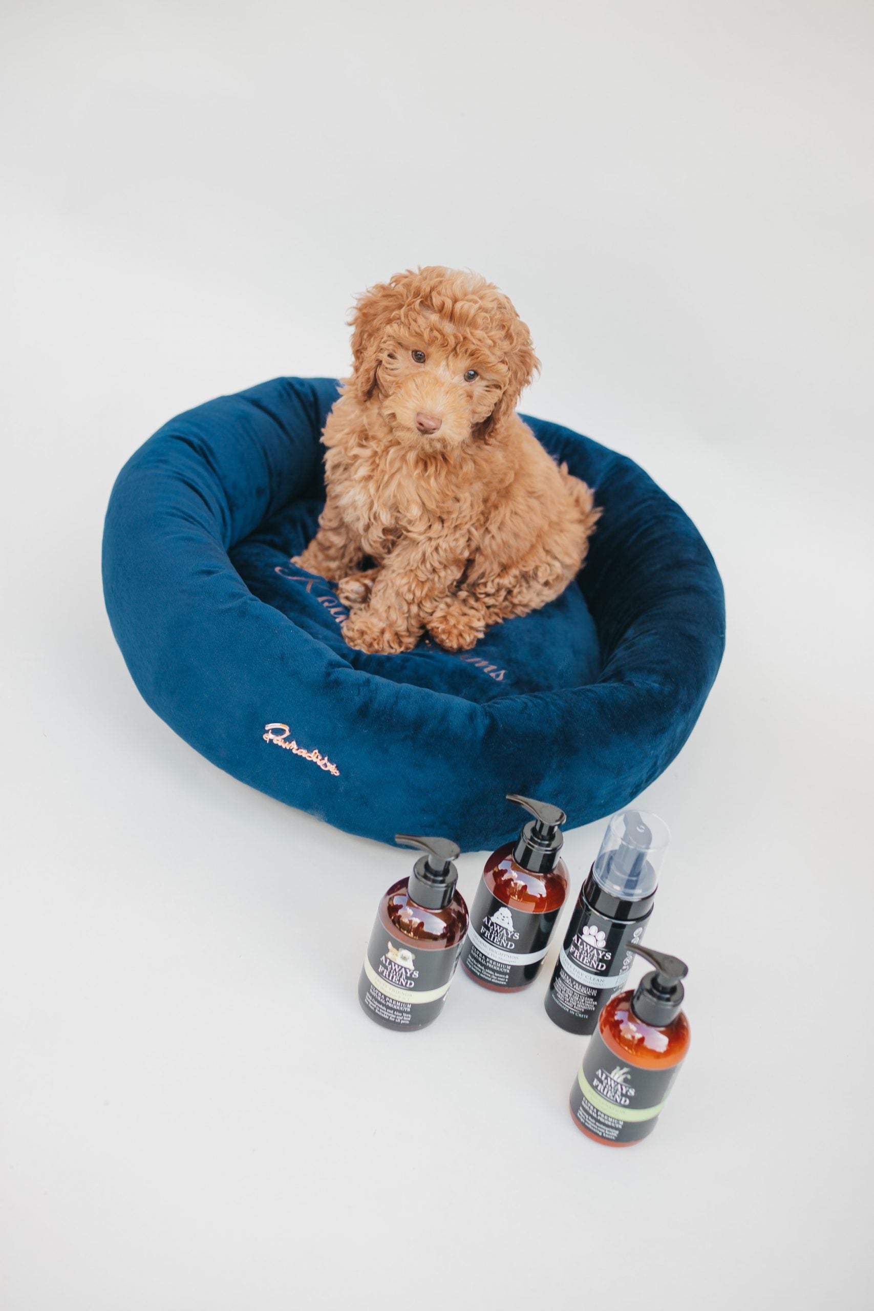 Cama Donuts Royal Navy Pawradise image 3