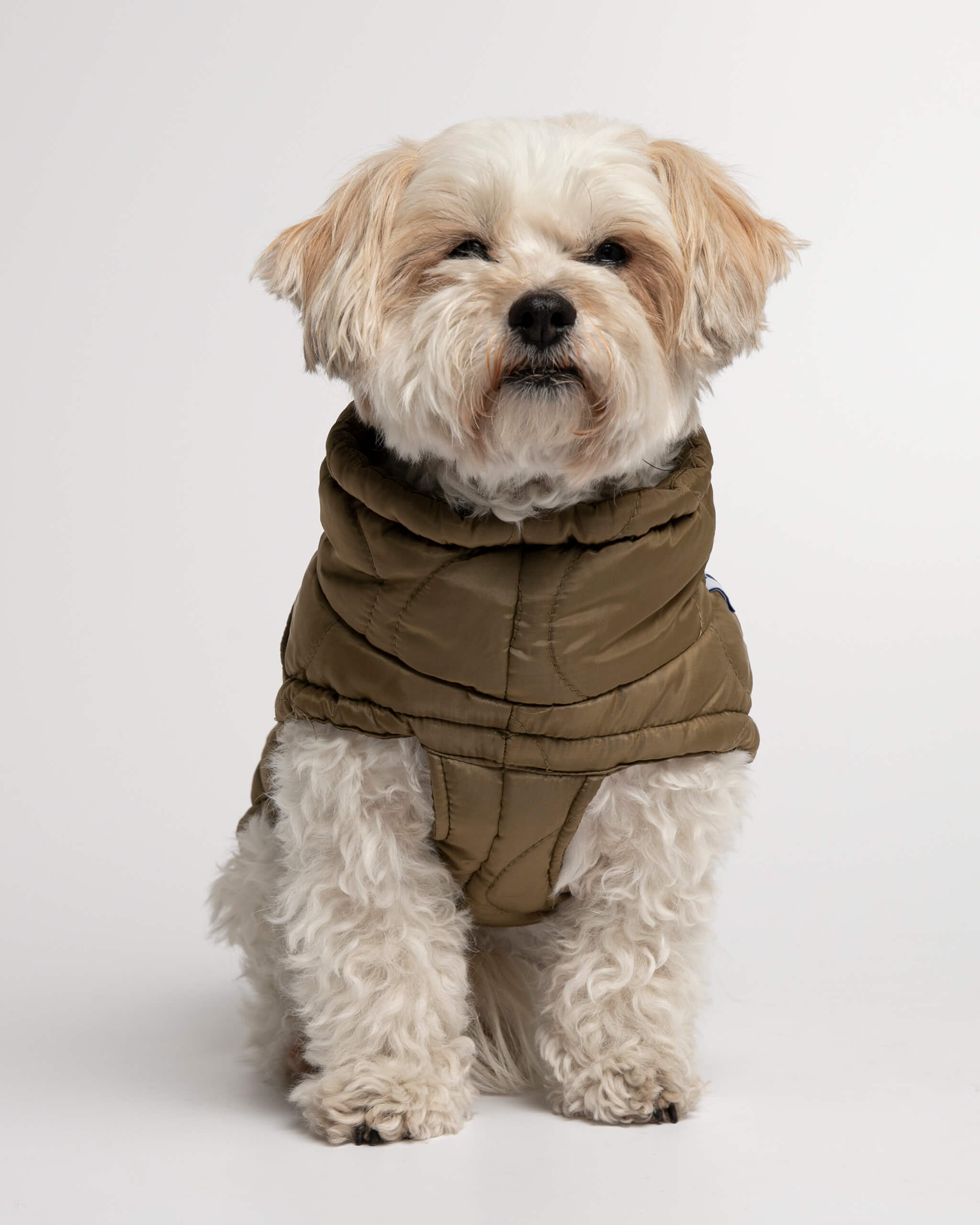 Plumas Puffer Abrigo Perro image 3