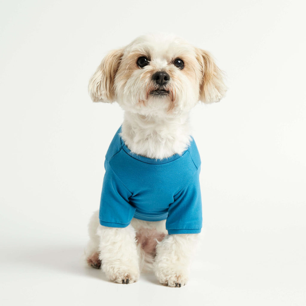 Camiseta perro de algodón image 2