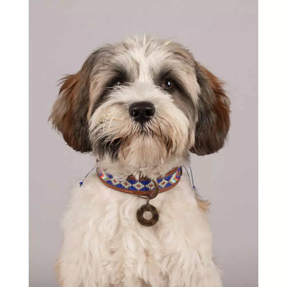 Dwam Collar Stella Blue image 3