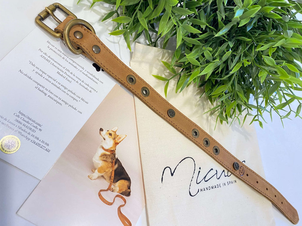 Micuir Pets Collar Tachas image 5