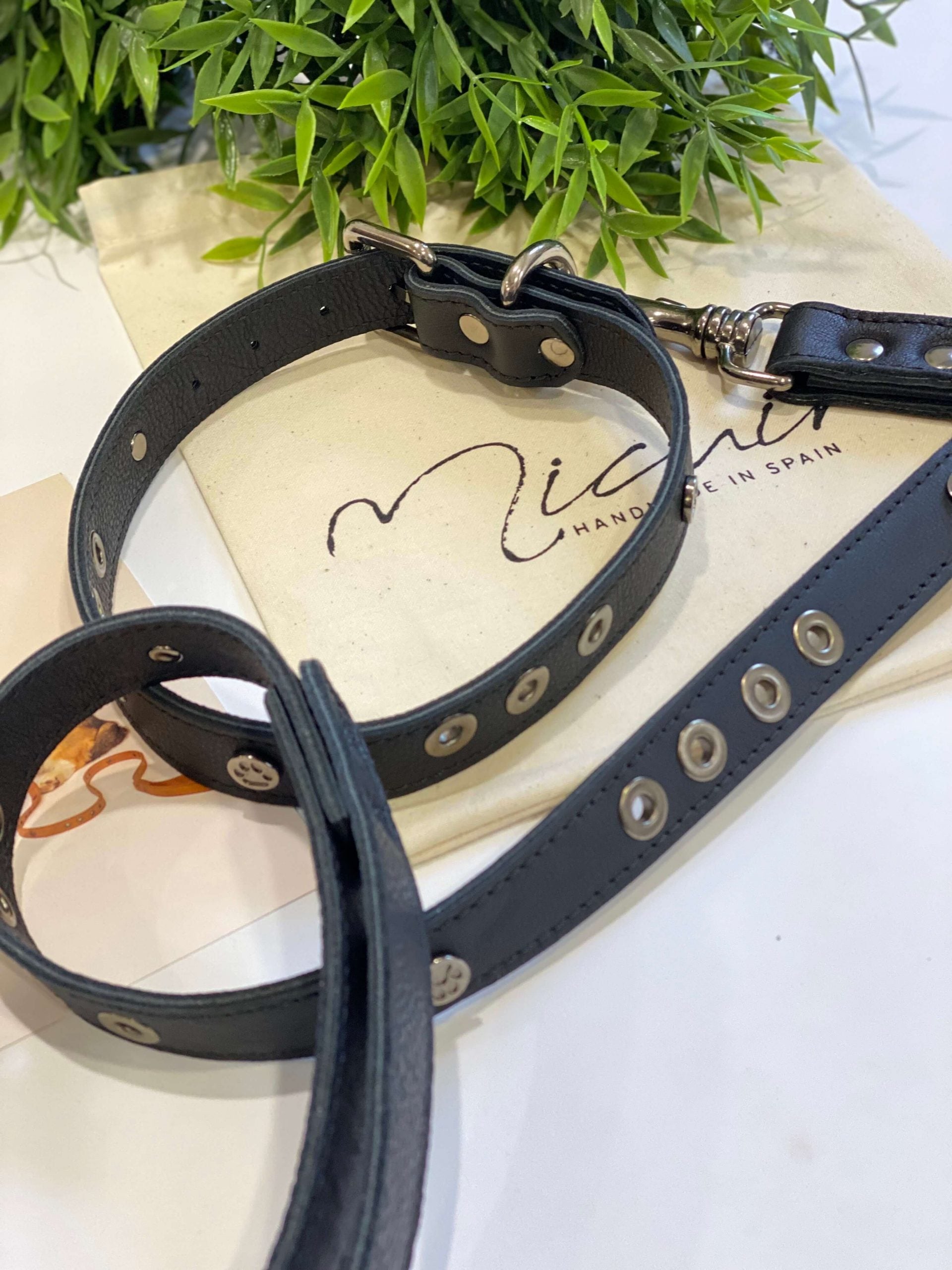 Micuir Pets Correa Tachas - Negro image