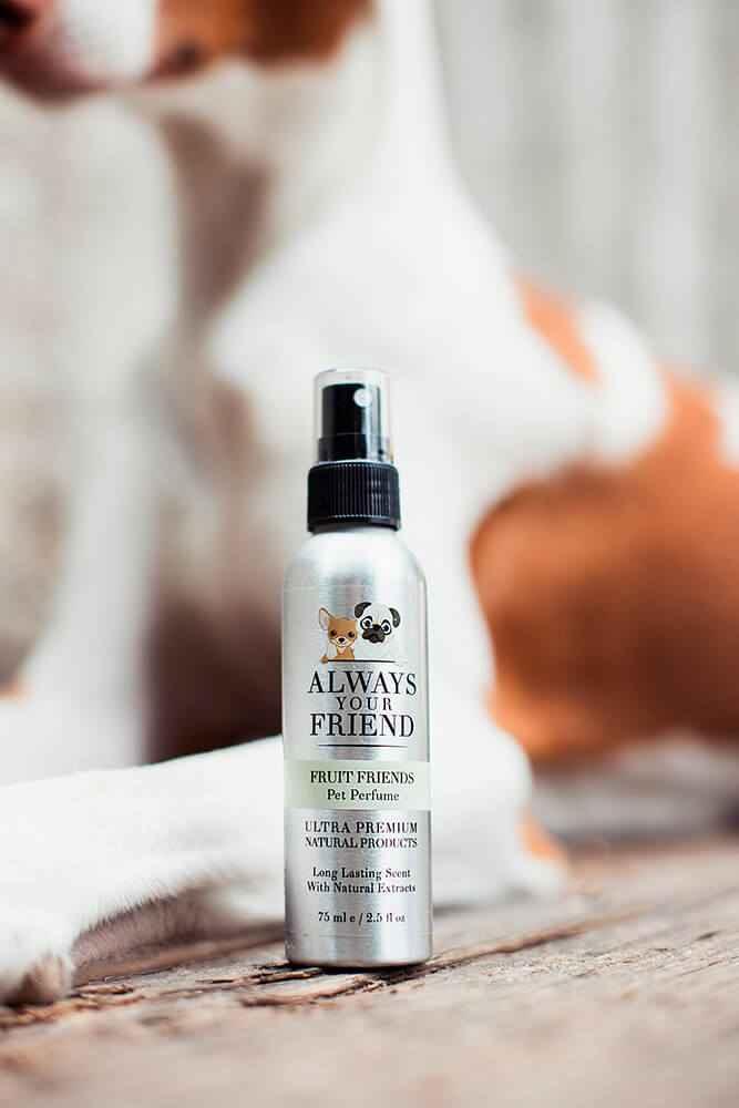 Always Your Friend Perfume Fruit and Friends