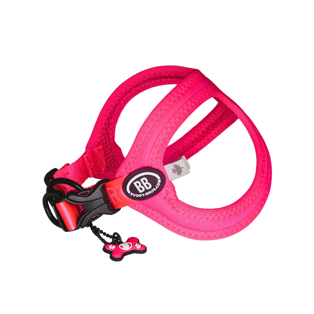 Buddy Belts Sport Vibrant Neon image 1