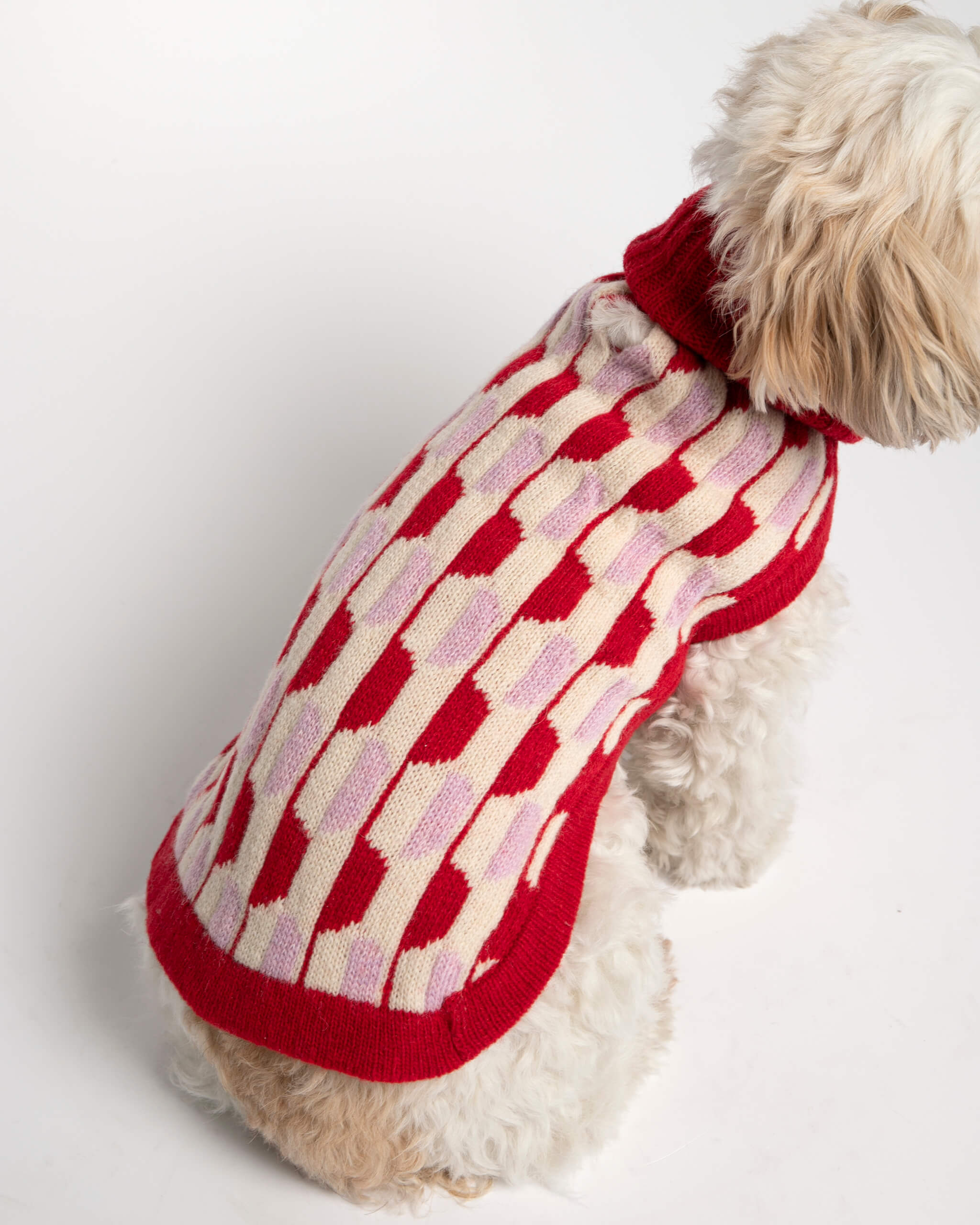 Jersey para perro Donald image 5