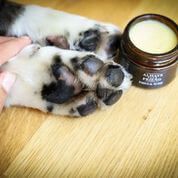 Always Your Friend - Bálsamo de almohadillas y trufa image 1