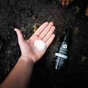 Always Your Friend Champú en seco