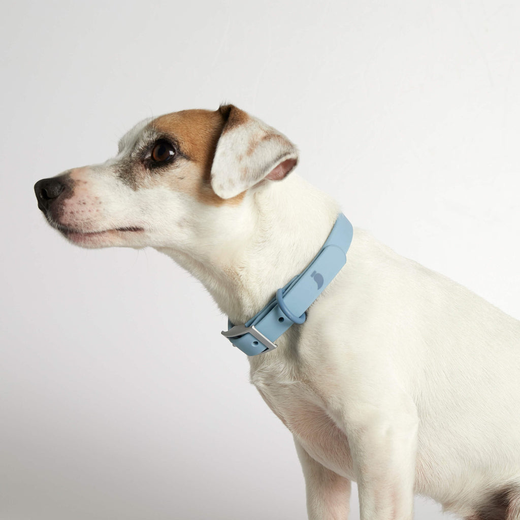 Collar para perro hipoalergénico image 3