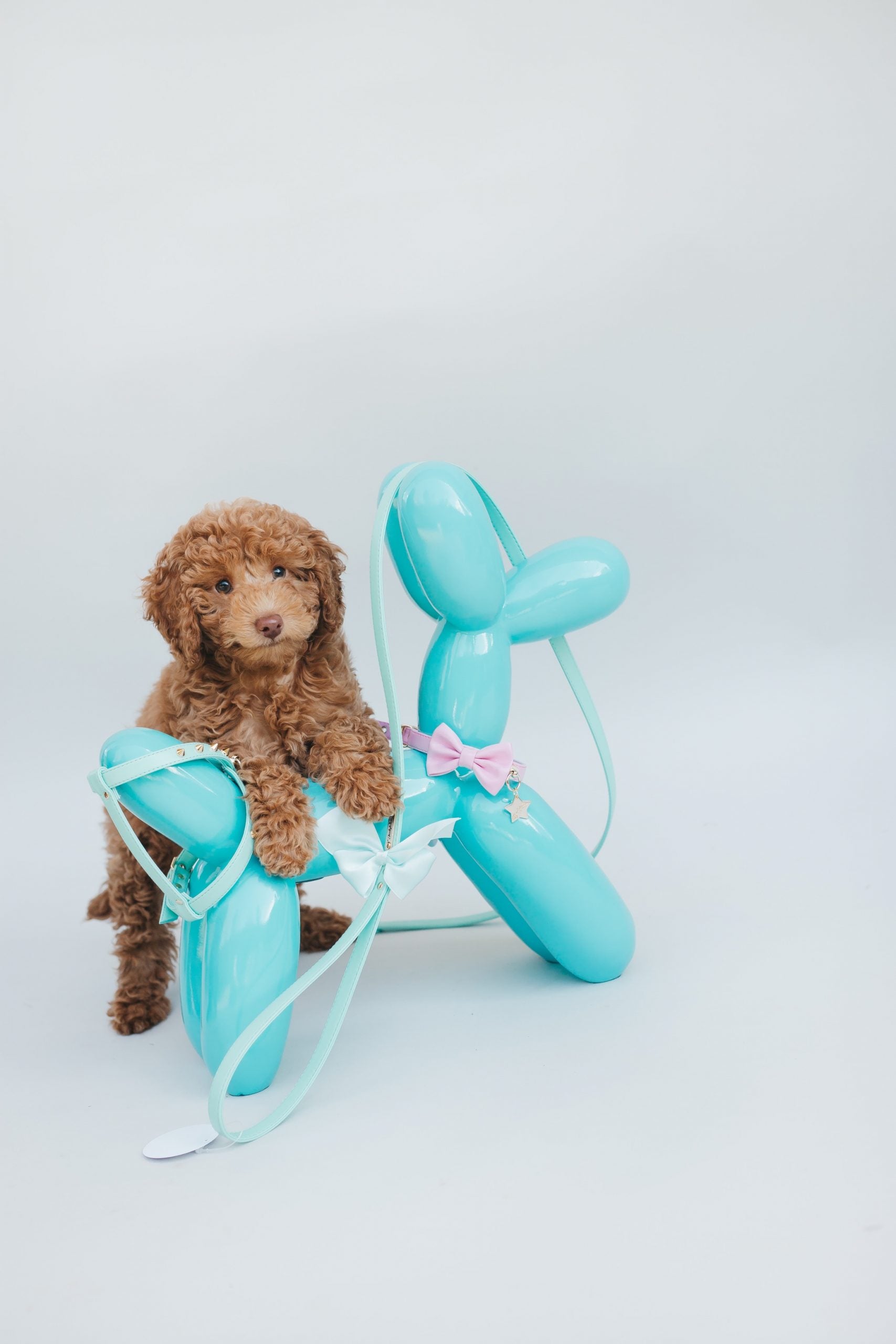 Collar Classy Rosa - S image 2