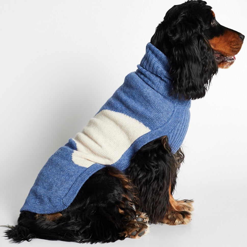 Jersey para perro René image 0