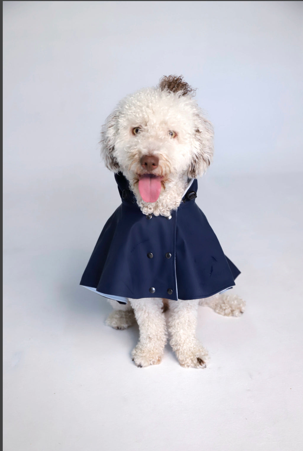 Capa de lluvia perro William image 1