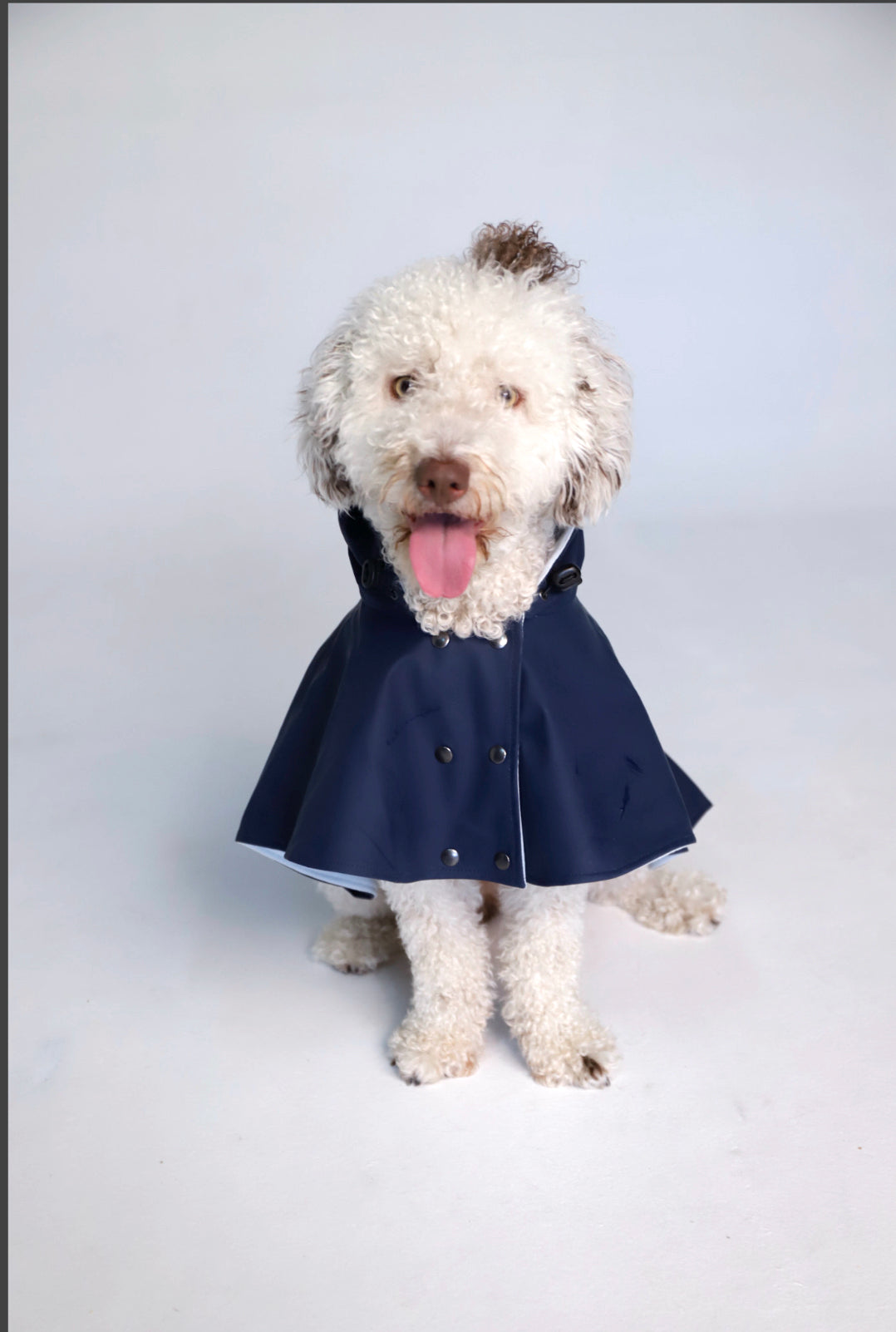 Capa de lluvia perro William image 1