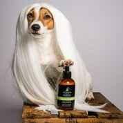 Always Your Friend Acondicionador Rejuvenation