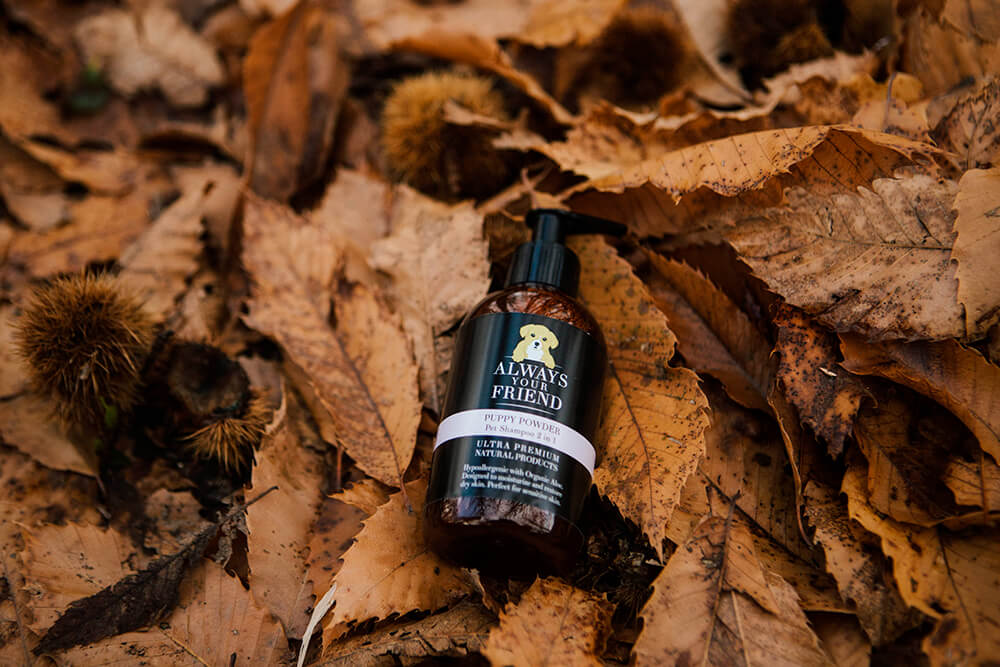 Always Your Friend - Champú cachorro image 3