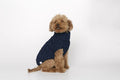 Jersey perro John B Marino image 0