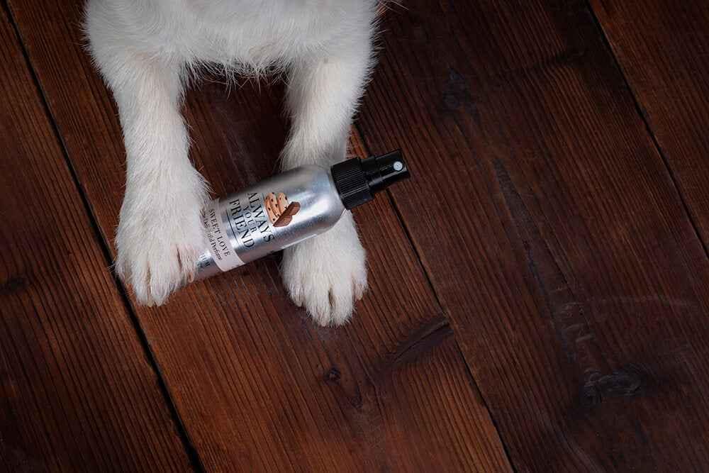 Always Your Friend Perfume Sweet Love