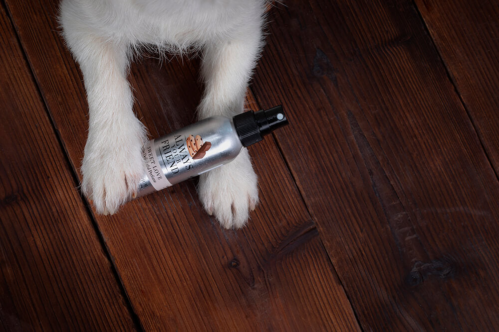 Always Your Friend Perfume Sweet Love image 3