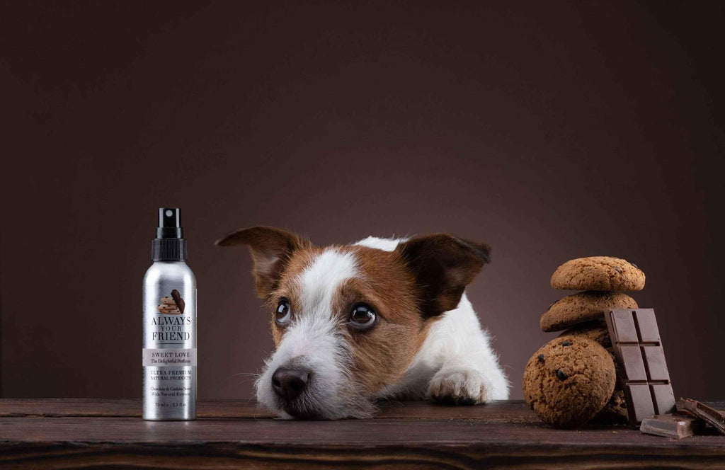 Always Your Friend Perfume Sweet Love