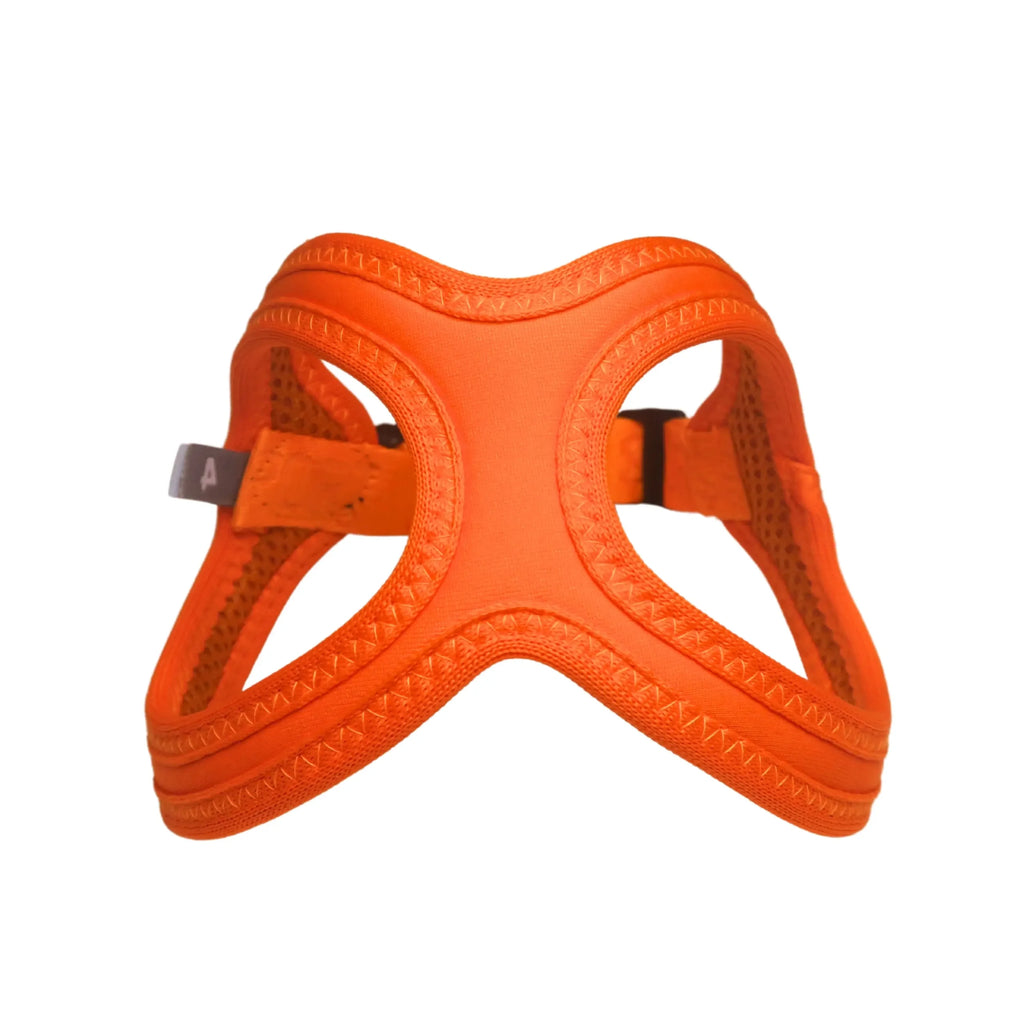Buddy Belts Sport Vibrant Neon image 6