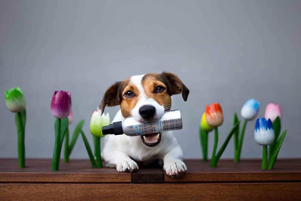 Always Your Friend Perfume Infinity