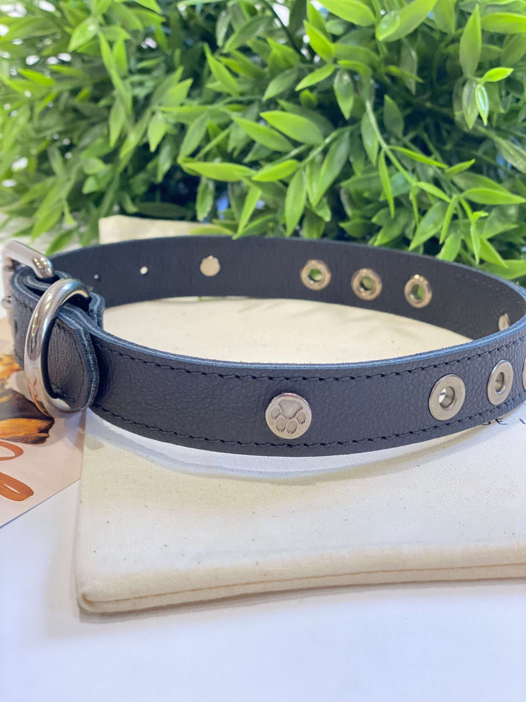 Micuir Pets Collar Tachas - S NEGRO image