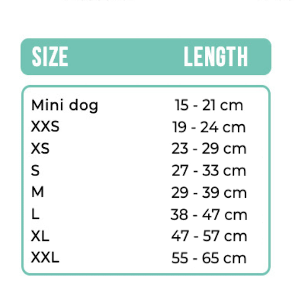 Dwam Collar Stella Blue image 4