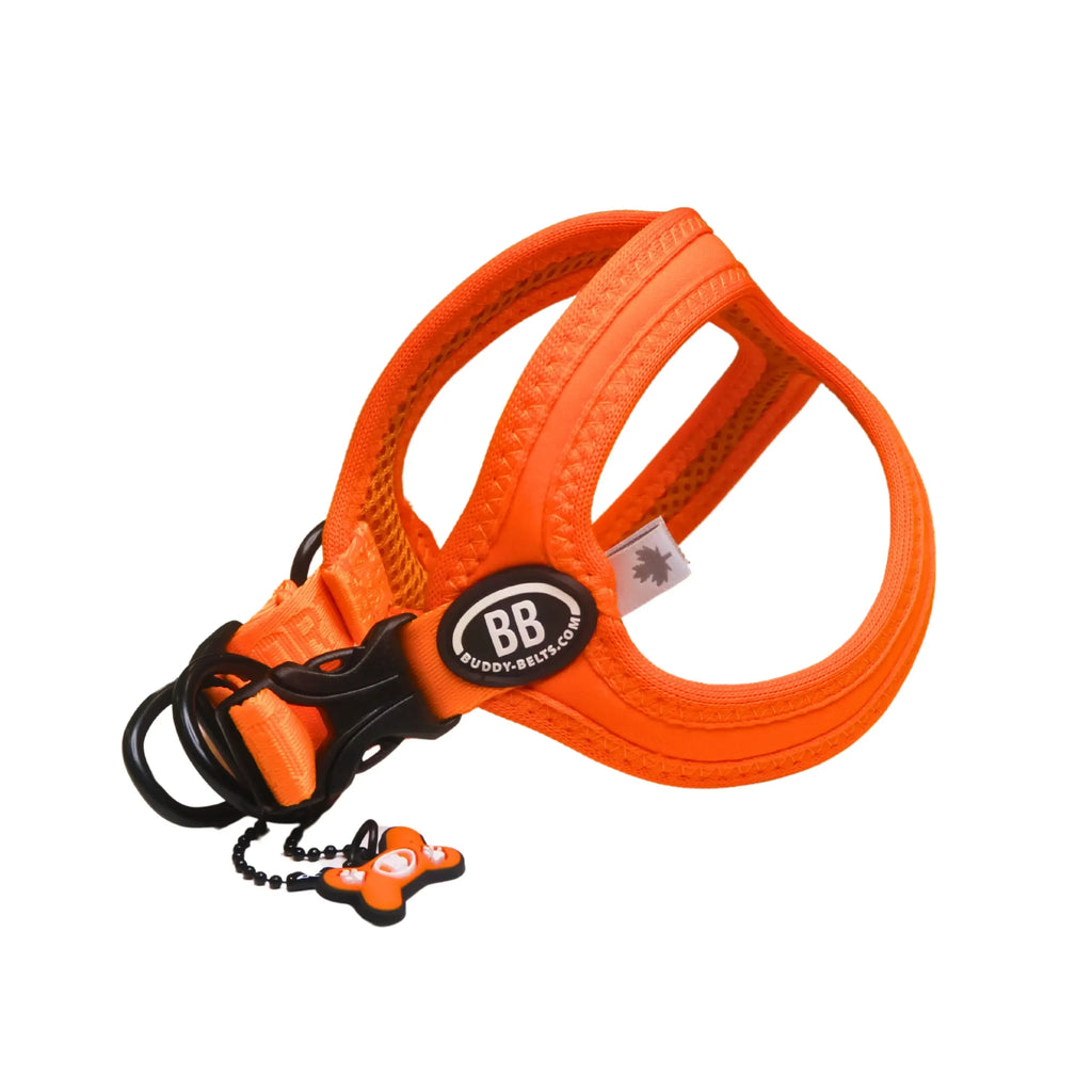 Buddy Belts Sport Vibrant Neon image 2