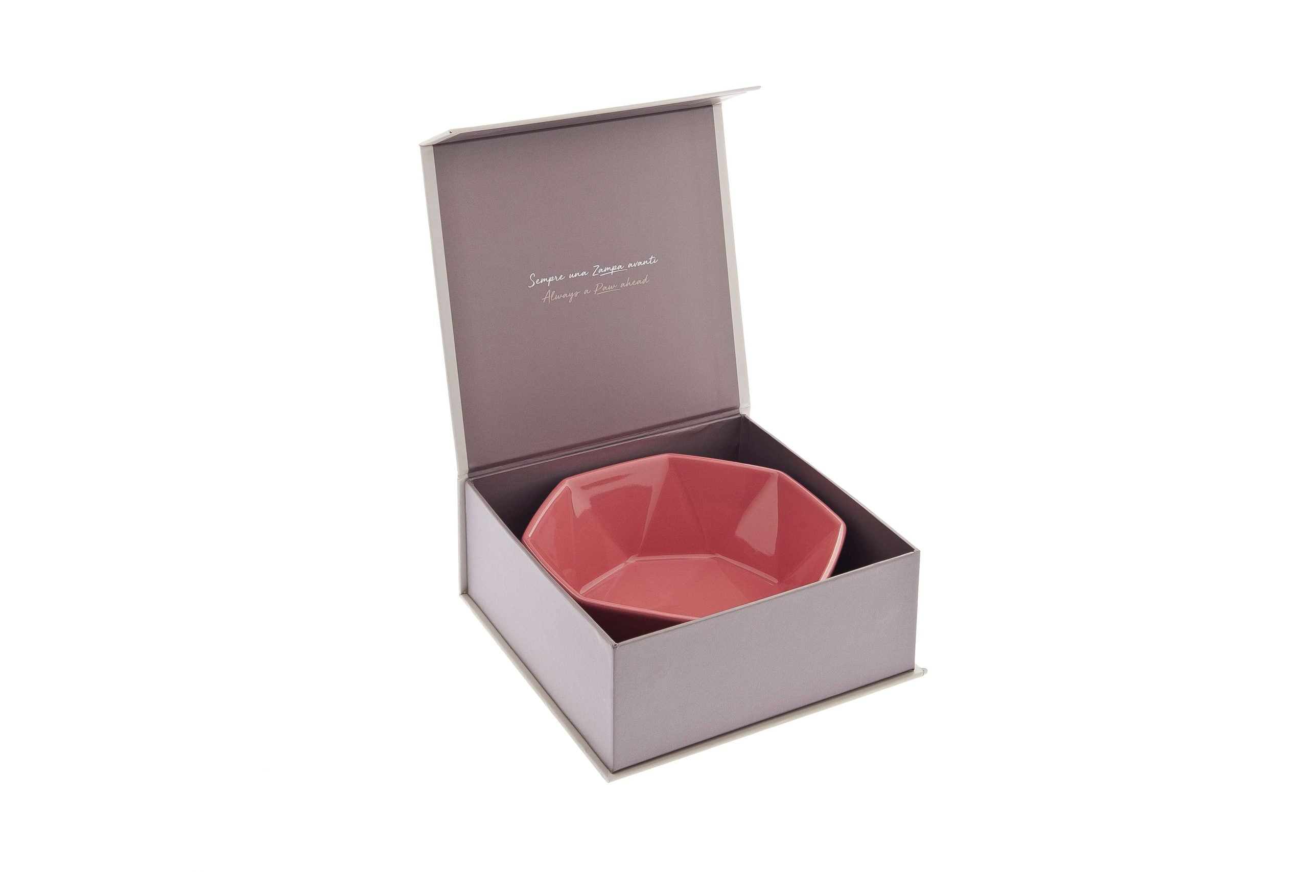 Comedero cerámica Pitágora image 3