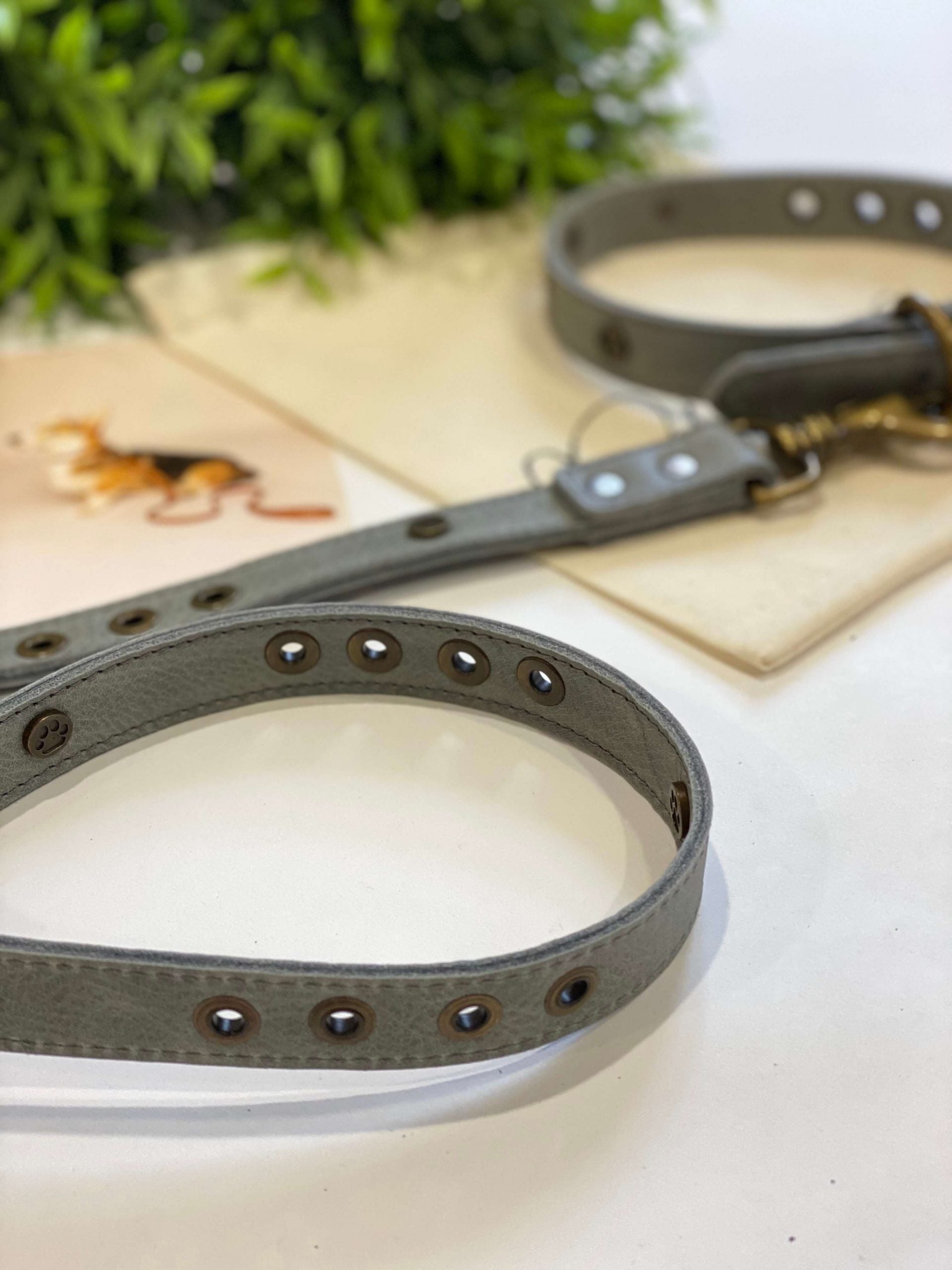 Micuir Pets Correa Tachas image 2