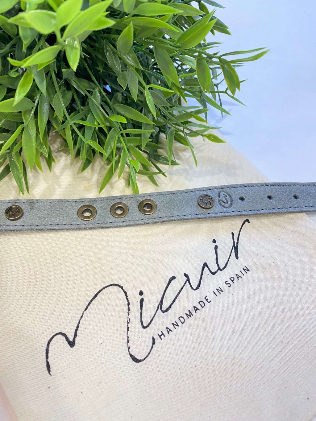 Micuir Pets Collar Tachas - M GRIS image