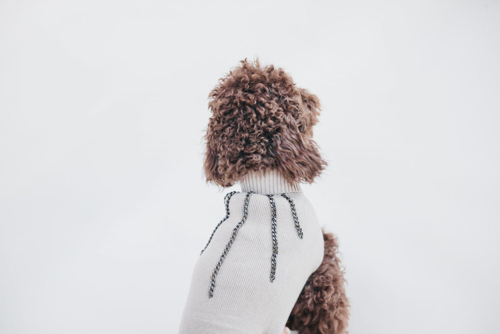 Jersey beige Le Dangerouge M image 4