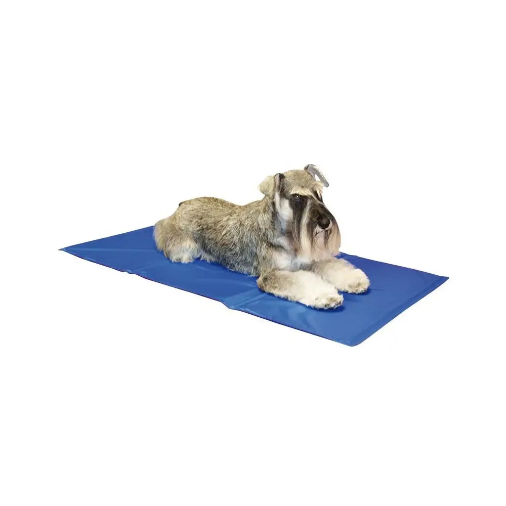Cama perro refrescante