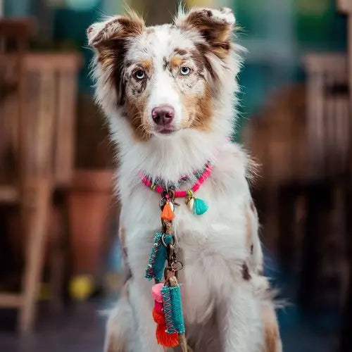 Dwam Choker Bondie Beach image 5