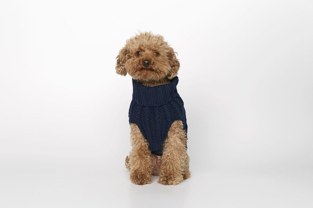 Jersey perro John B Marino image 1