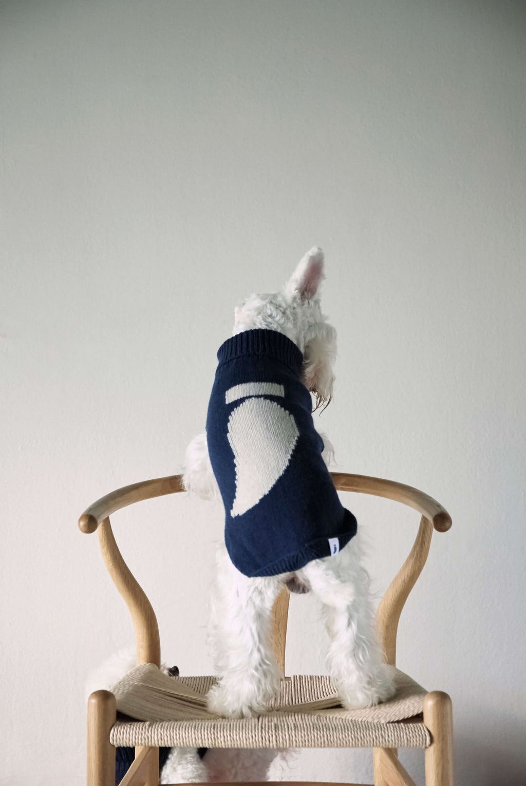 Jersey perro navy George image 3