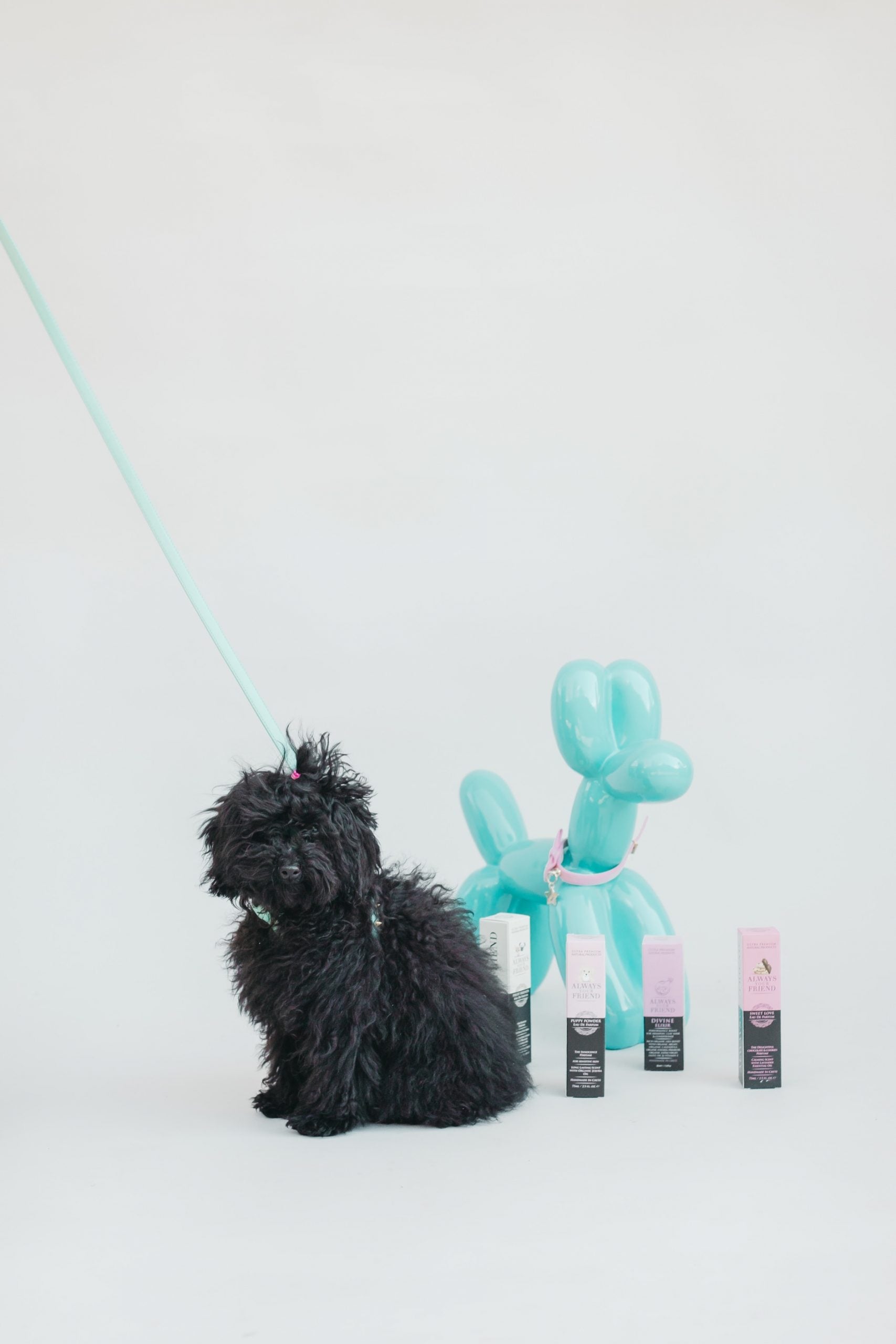 Arnés Baby Punk Mint Funkylicious image 4