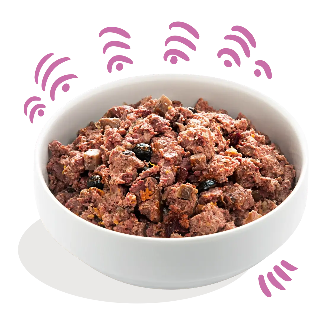 Comida húmeda Ciervo Pato y Arándanos image 1