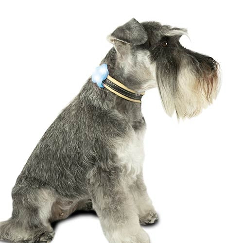 Luz de led para arnés o collar image 1