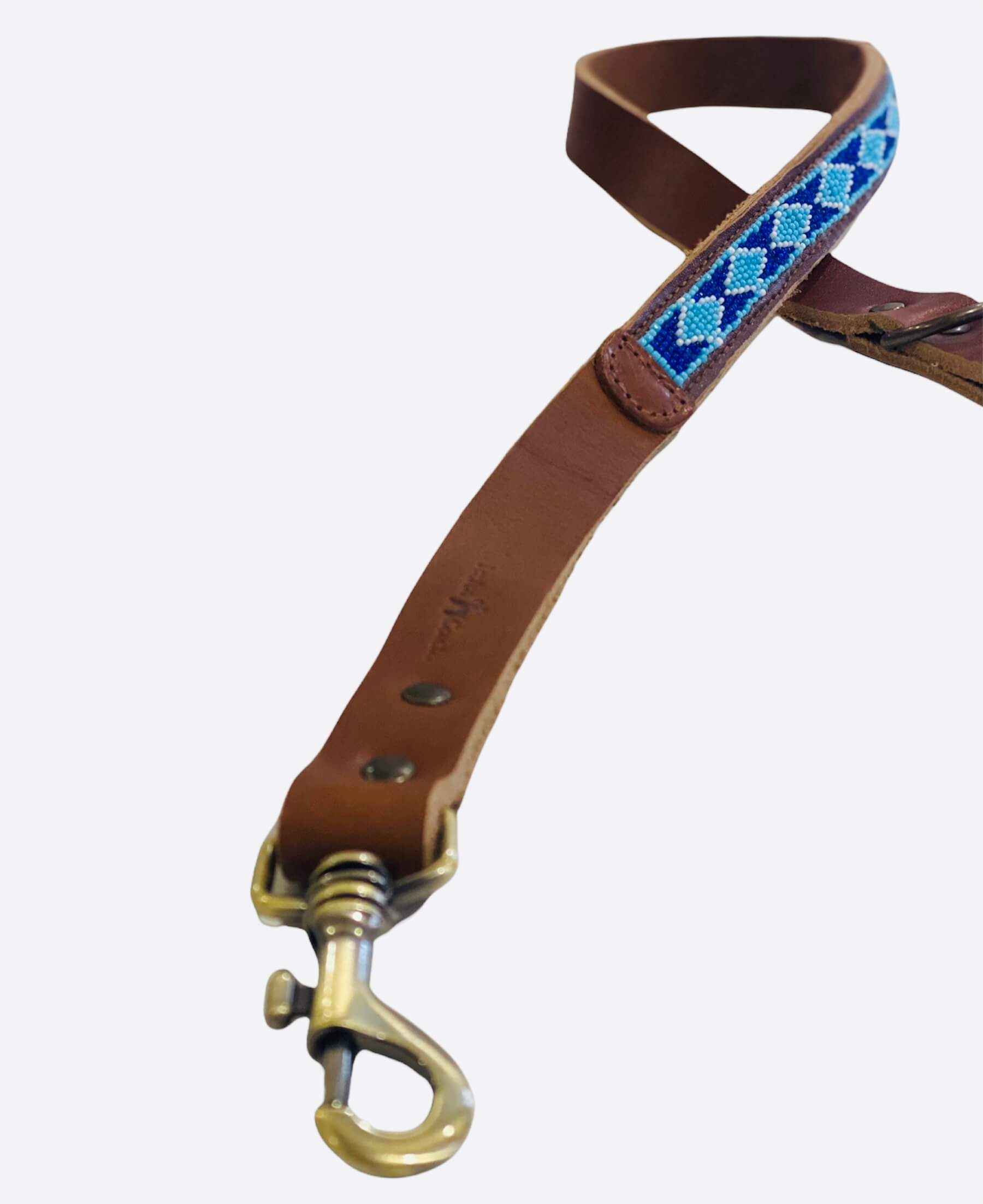 Correa Madagascar image 2