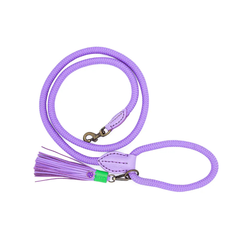 Dwam correa Purple Rain image 0
